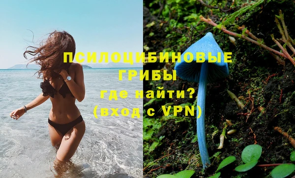гидропоника Баксан
